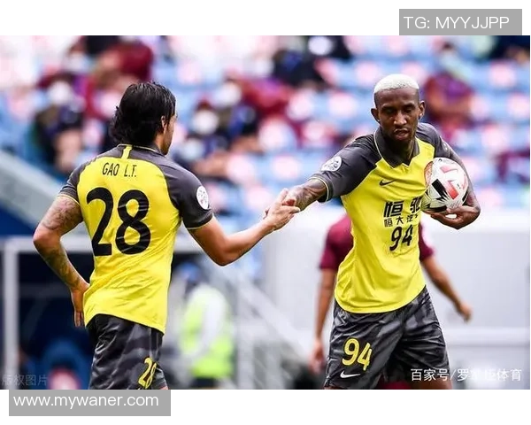 成都排球队心理素质引发热议球迷与专家观点大碰撞