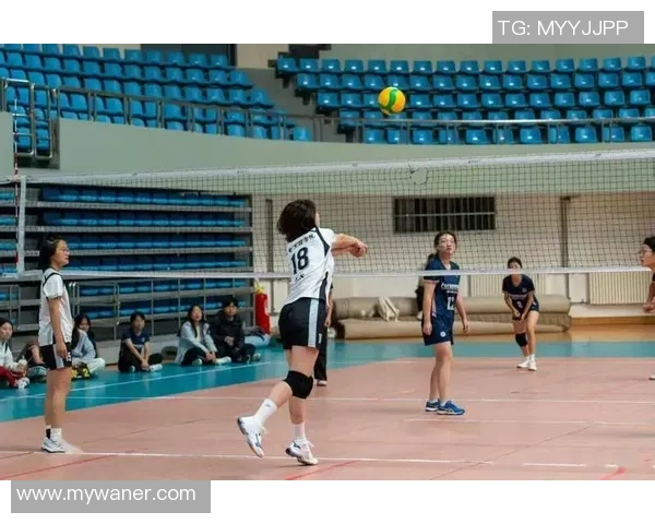 排球盛宴：深入广州排球队的训练与比赛节奏揭秘