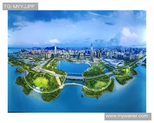 深圳乒乓球队的崛起之路与奋斗历程全景回顾