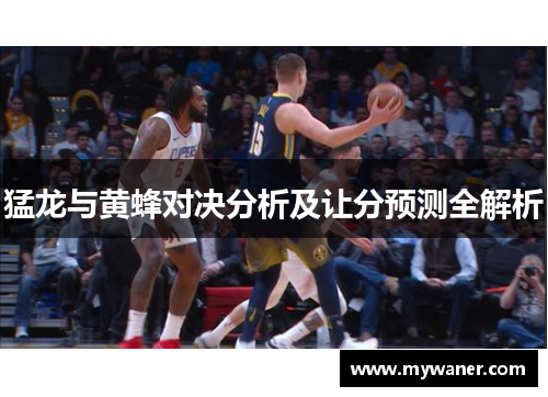 猛龙与黄蜂对决分析及让分预测全解析